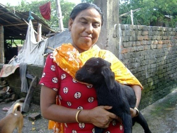 Livestock & Goat Rearing (Profile Page 14)